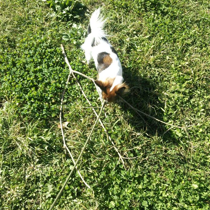 6382f0d9 06d3 4afc 902c 4451e4f41f90