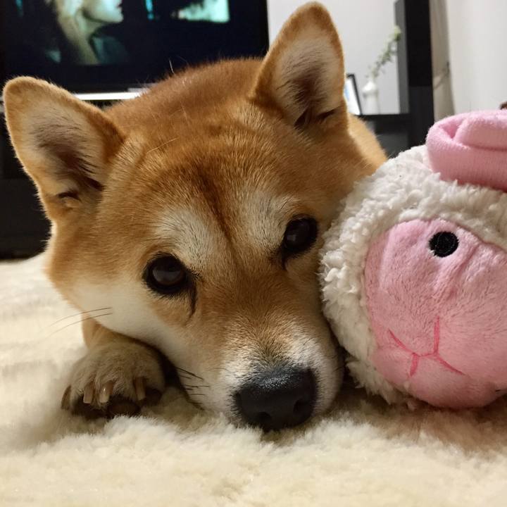 63833156 9eda 4dea 851f 52d8162a37f8