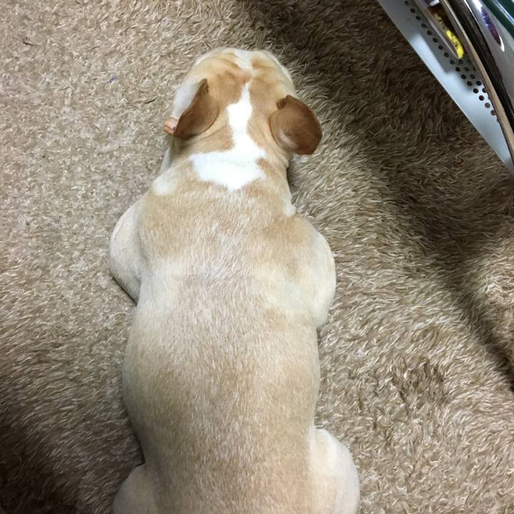 6383cadf f339 45df a1e7 1e7d2f0c932e