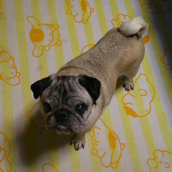 6384303c 3e1a 413a bf03 c862cecce250