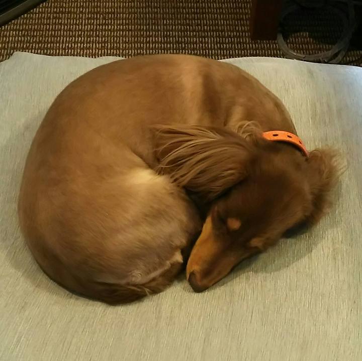 63847d3a 28c8 4c3e 8f62 ec5b7684bea9