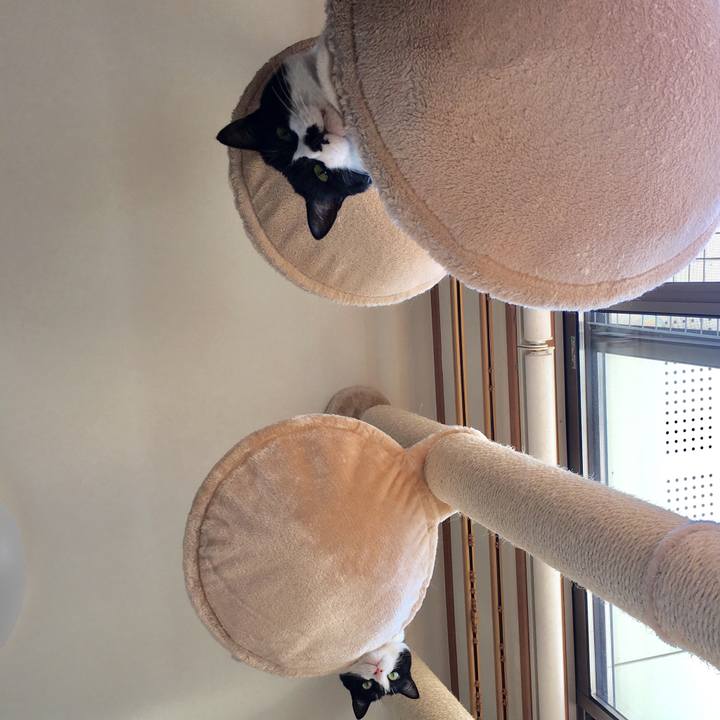 63849489 78d3 412c 9713 0793f7bf85aa