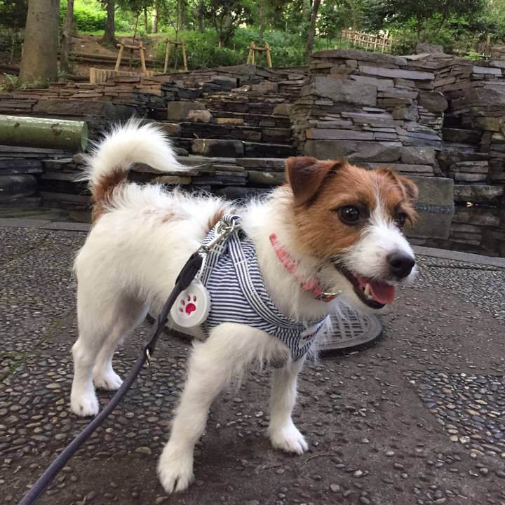 6385a786 ed49 48bc 9cee 1e7c8048e875