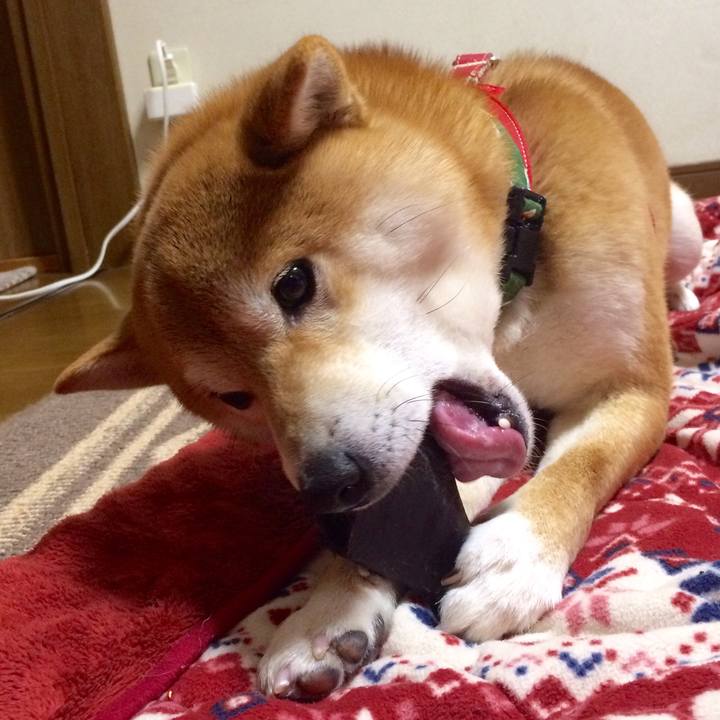 6385f703 b640 47b0 9991 fb7abcc51f08