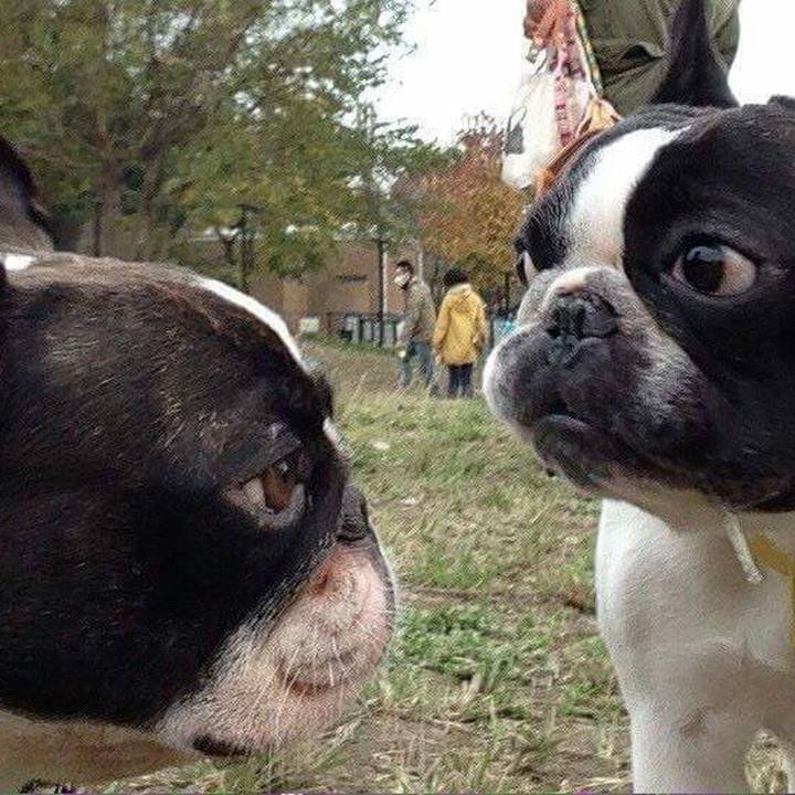 63864dc3 181e 4ebb ab2b be185c9061b0