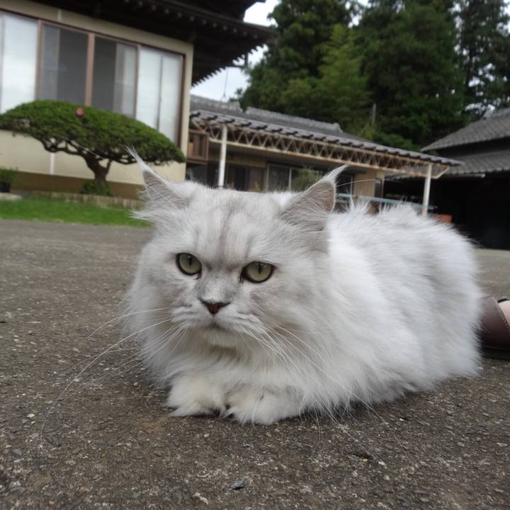 63865253 4dbe 4df0 9a3a 9e249314d170