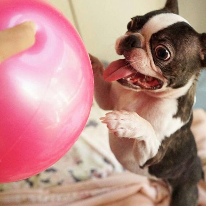 638666b6 3bfb 4f82 8b52 309b789e6905