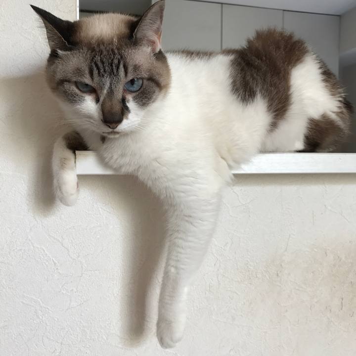 6387f941 5c32 4a2f 879f 0f910d694b28