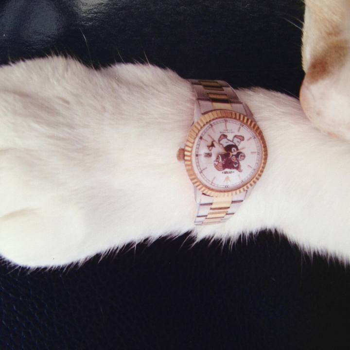 63881e25 6a4e 4d4f 9229 bfc0159be5c6