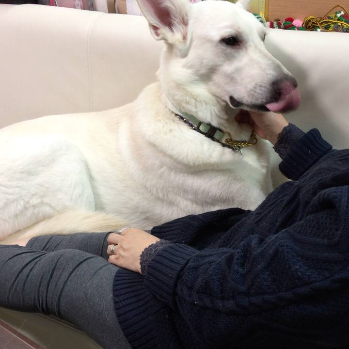 63885c45 68f0 4f9d a362 feb85d6ca4f8