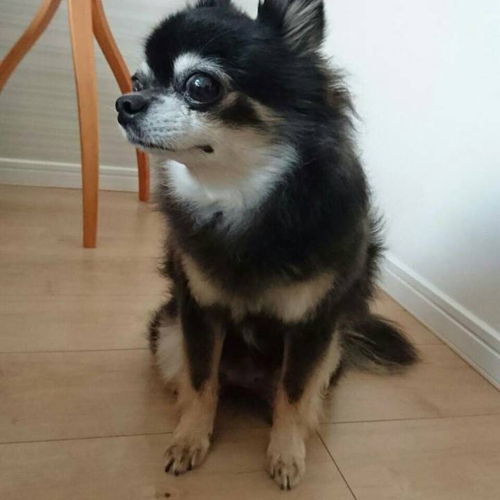 63887d87 5d72 4d79 b27f 245c6874a6be