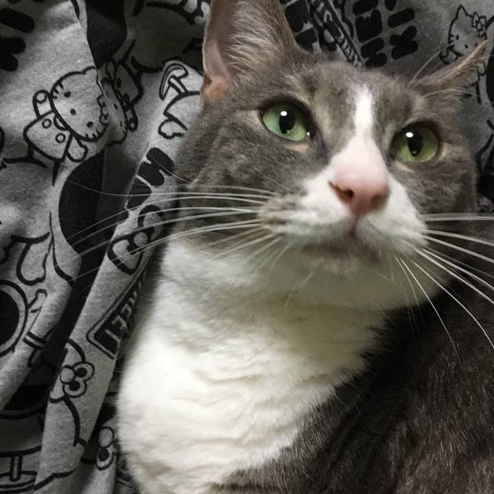 63887da2 e7cd 40ad 8180 2cade3b98c1f