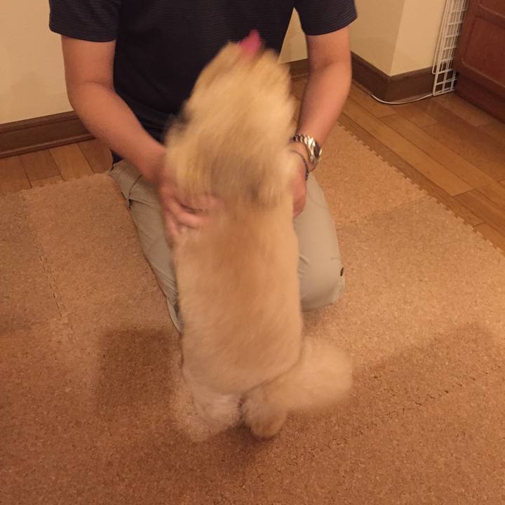 6388d092 f0be 4eae 9f0d 6c2a9c8d2384