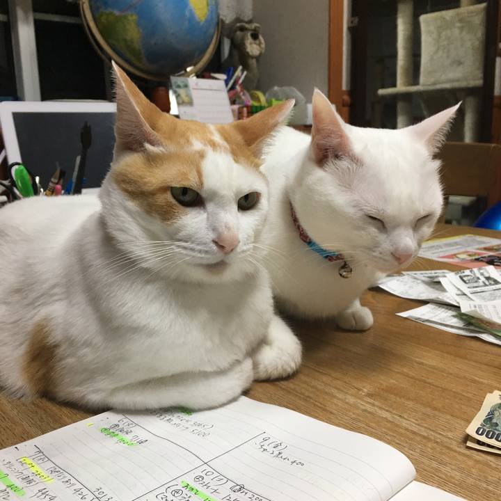 63891308 f6b6 4f17 ad00 bbaed1a4308c