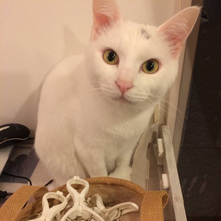 638a2a9c 93c1 4b8b af3c b6eb29dc7940