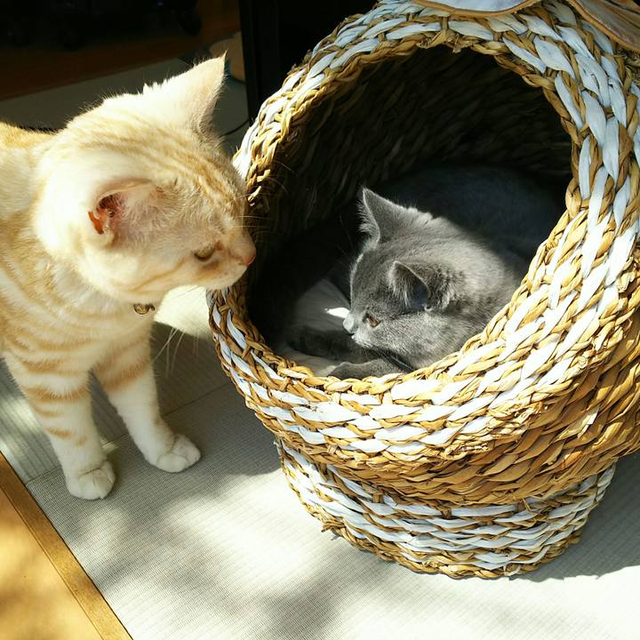 638a42b4 2089 49ce a5a6 eef400ad1a8d