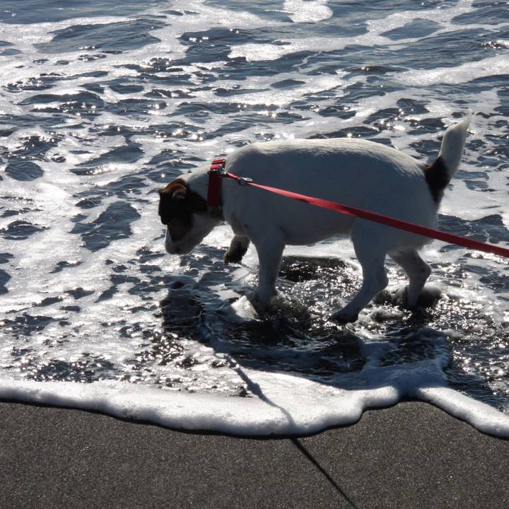 638abfeb adca 411a 9818 8a6eda34790e