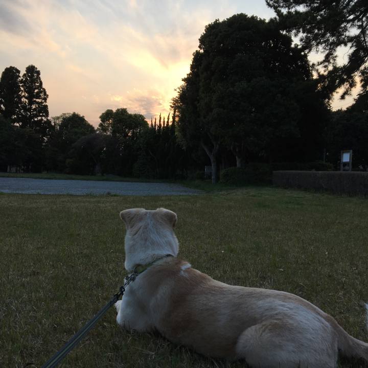 638ad6a1 9337 4c60 8a1c 983fa97d4638