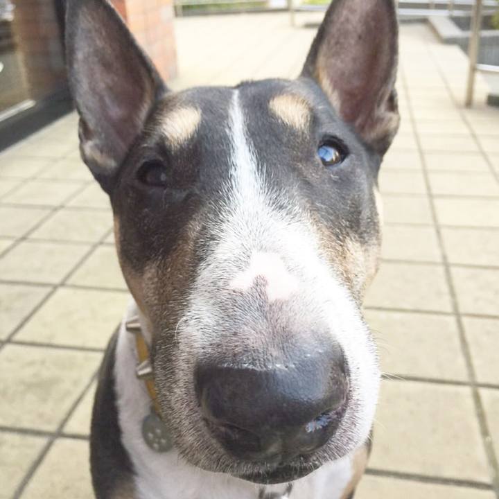 638b39de b0de 411f a6e2 83334d072325