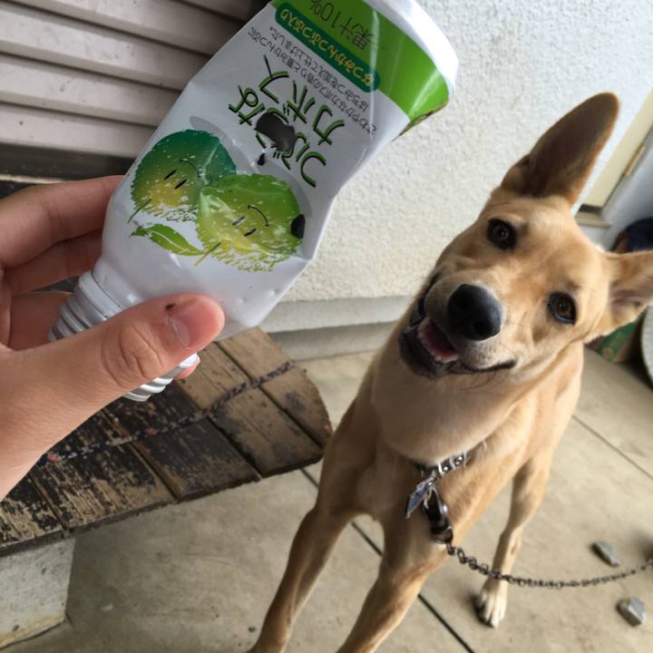 638b6bc5 575c 4020 82e4 eaaefbd2d013