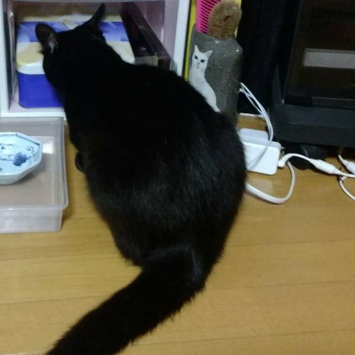 638ba105 34d6 4120 b07d c80634464020