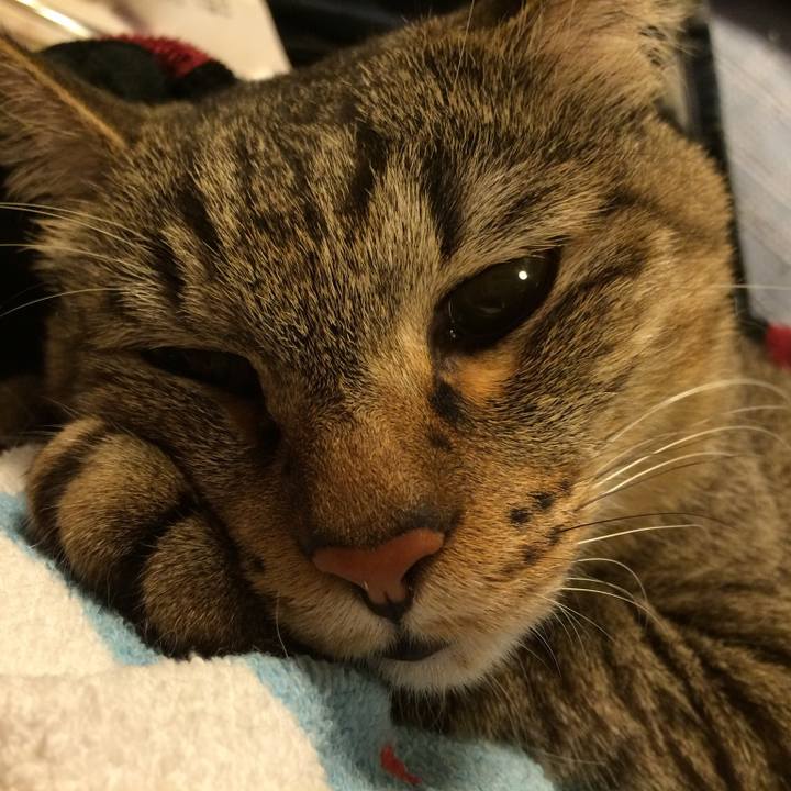 638bc3c5 4846 4399 9221 47c0736be314