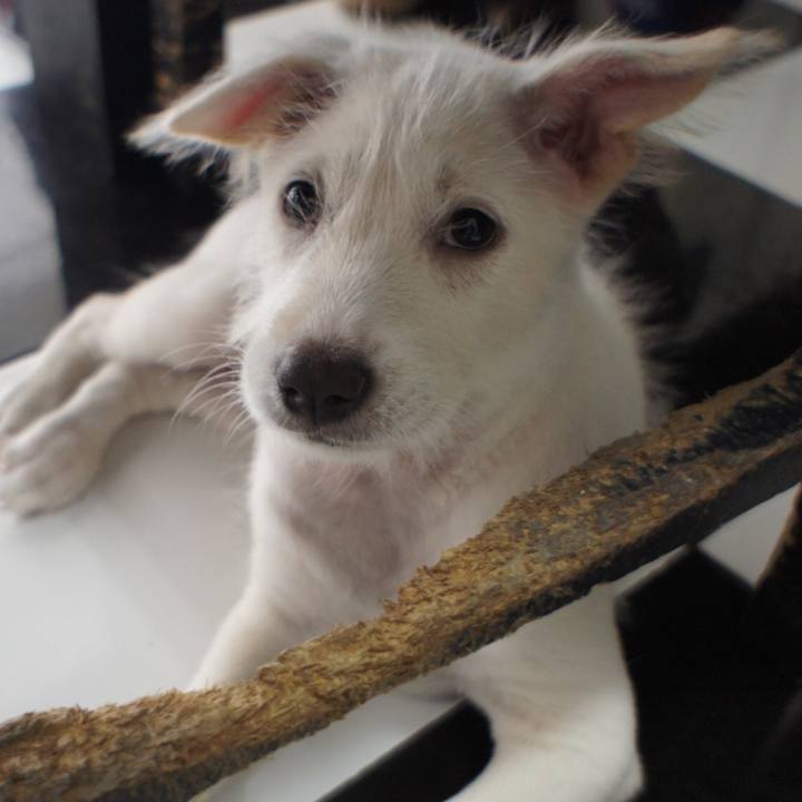 638bcf9f cd27 4e40 9201 04c95940a15f