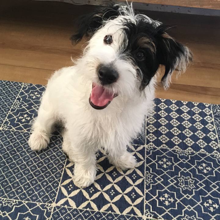 638cde0c f542 470e bc1c 8708036da566