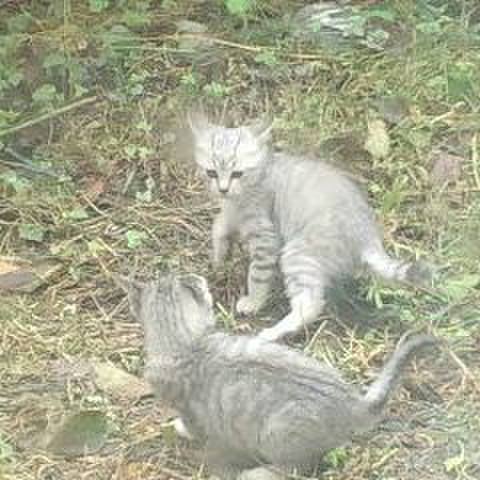 638e571b 9ff6 4b22 a185 ba264fbe03f0