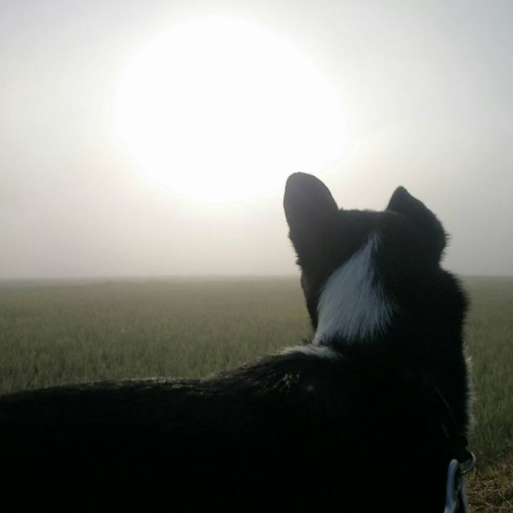 638e9841 91aa 4b5a 8bab 52e5f9f9fcf6