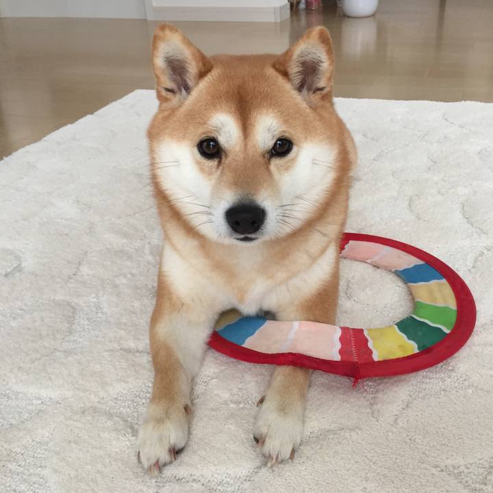 638ecb08 31de 4a79 9fa2 62c885de109c