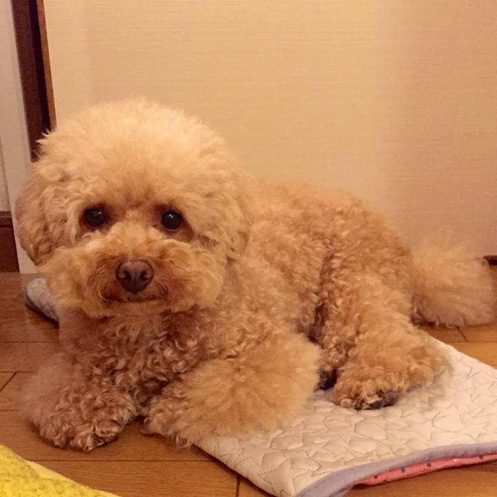 638fb047 575f 4fcf bf34 0c780b6244d9