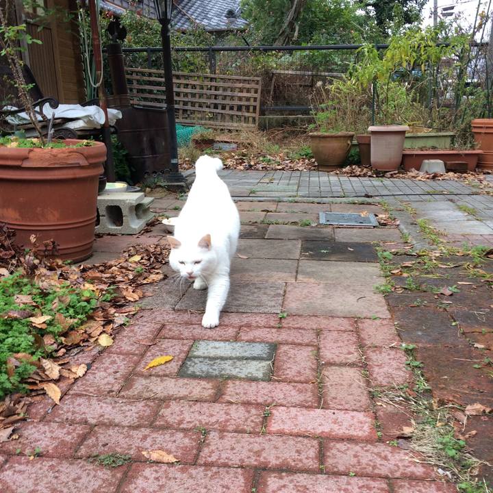 638fe5f9 dd2b 42fa 9bcd 46f47e2f61ef