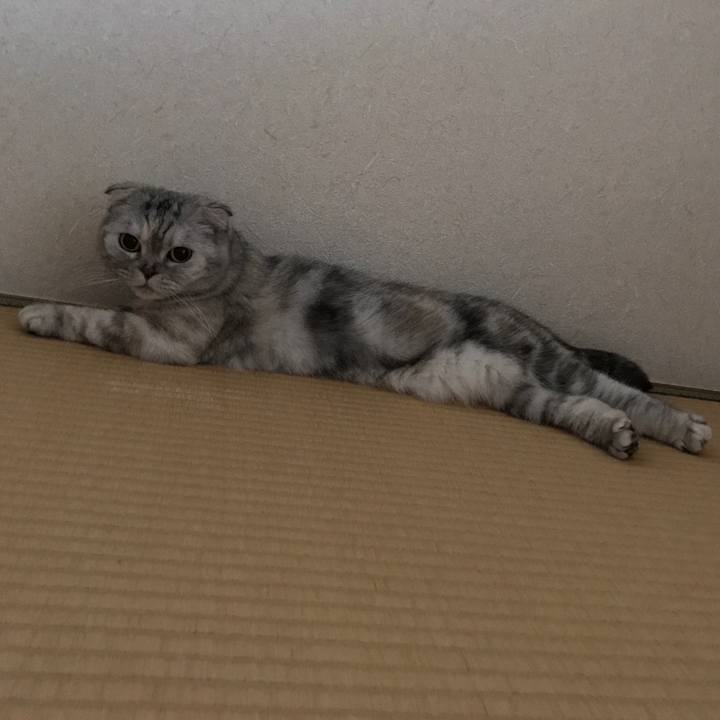 63901313 67a0 4cba 9121 ceb76bfd9cf8