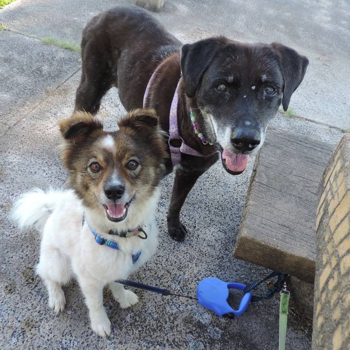 639039c0 b2a0 4fcb ad67 e445a18f5958