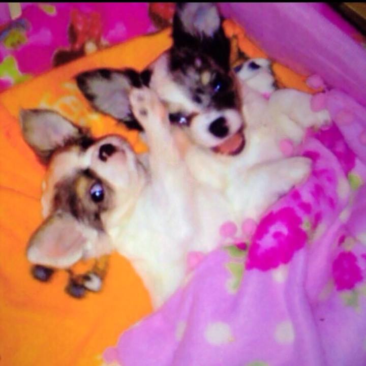 639039f2 b3a6 4e0e b7fb c9476c826fd1