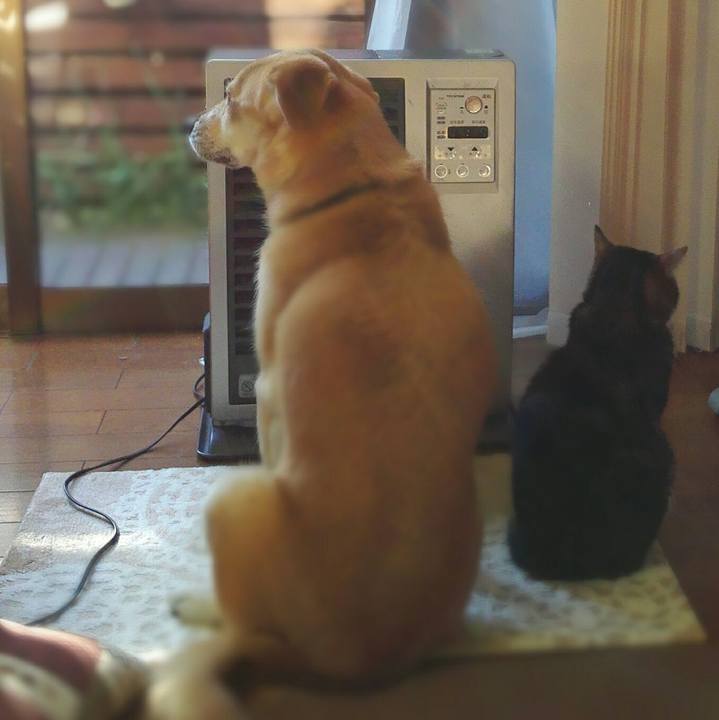 639075d3 80d6 4bab 9b33 17c2436dbcaf