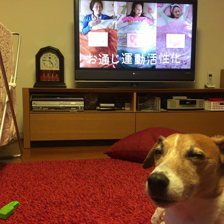 6390ea16 fc27 4d29 9bff fc85c7197533