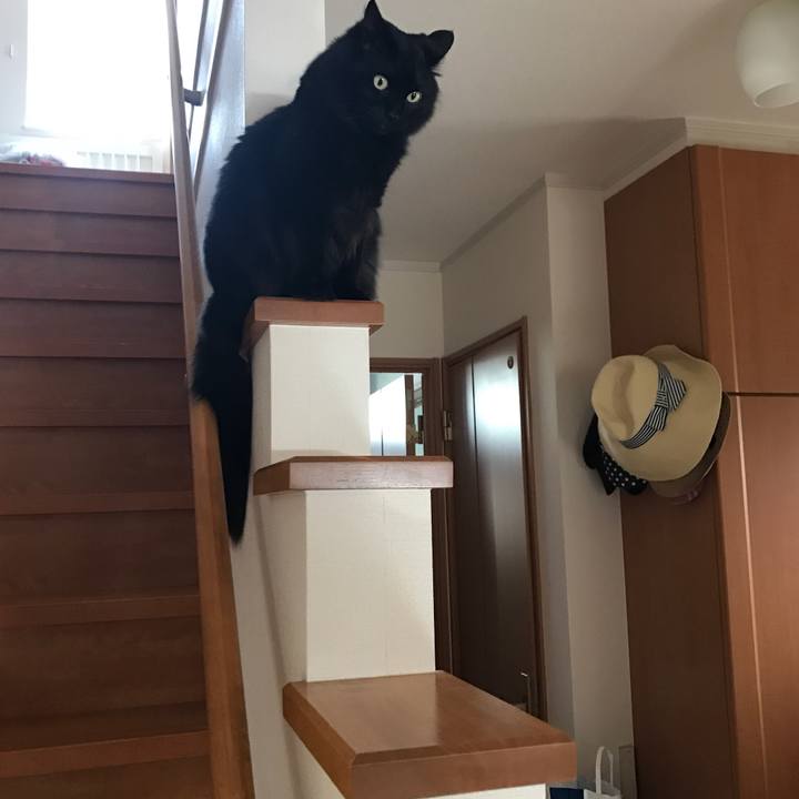 6390edca 392e 4020 a69c 6a573bc181eb