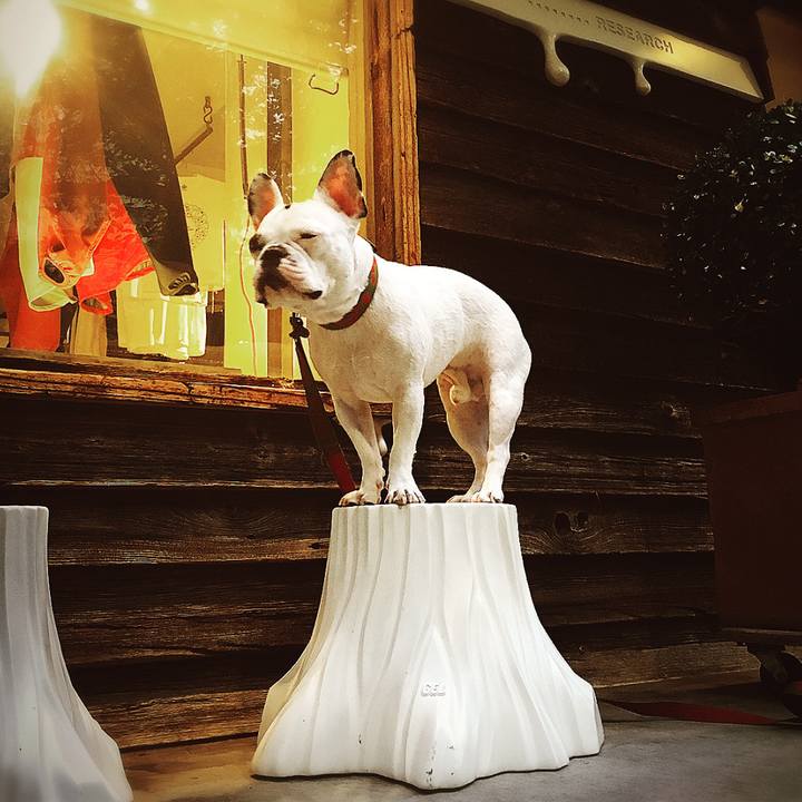 63913de0 cc5f 4943 ab95 57c8b1a1818e