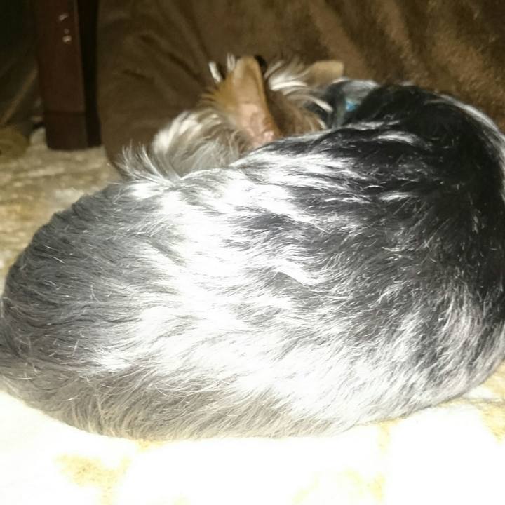 6391eb16 29bc 48b1 a2f1 8ef9eb34f1ab