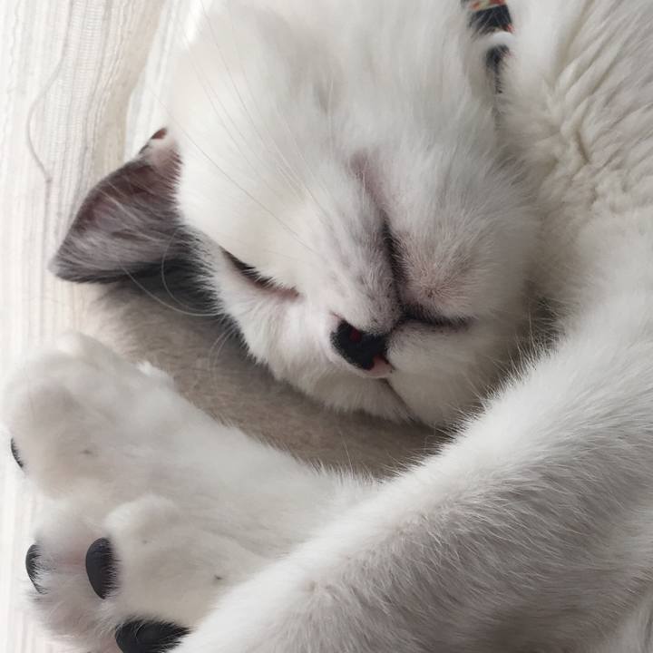 6391f8c9 4120 4ef7 84c3 4f3bb319bd16