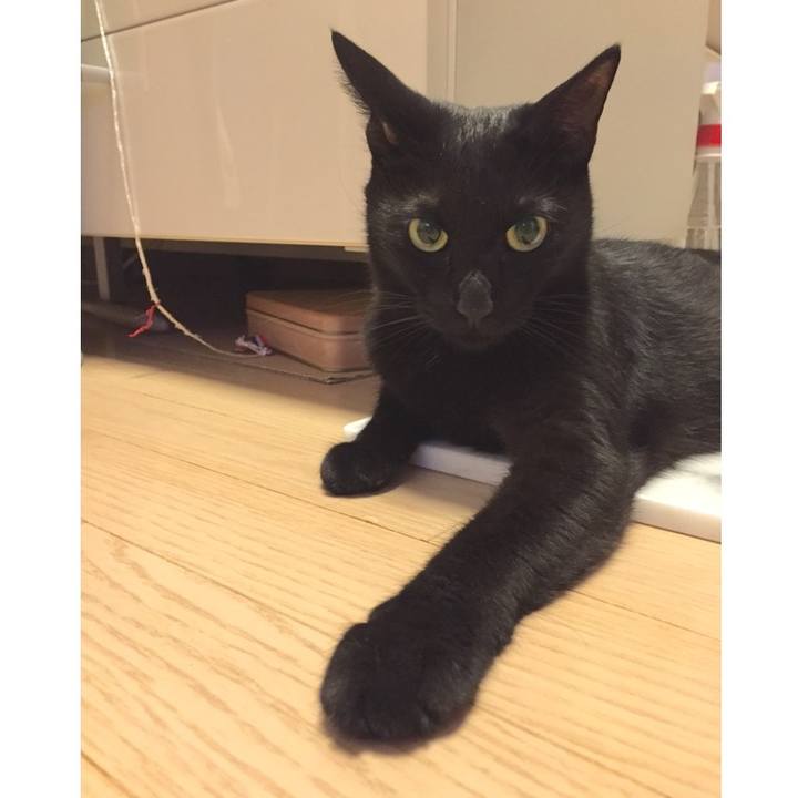 639222b8 4ab7 4243 b6ac a54c71d316ff