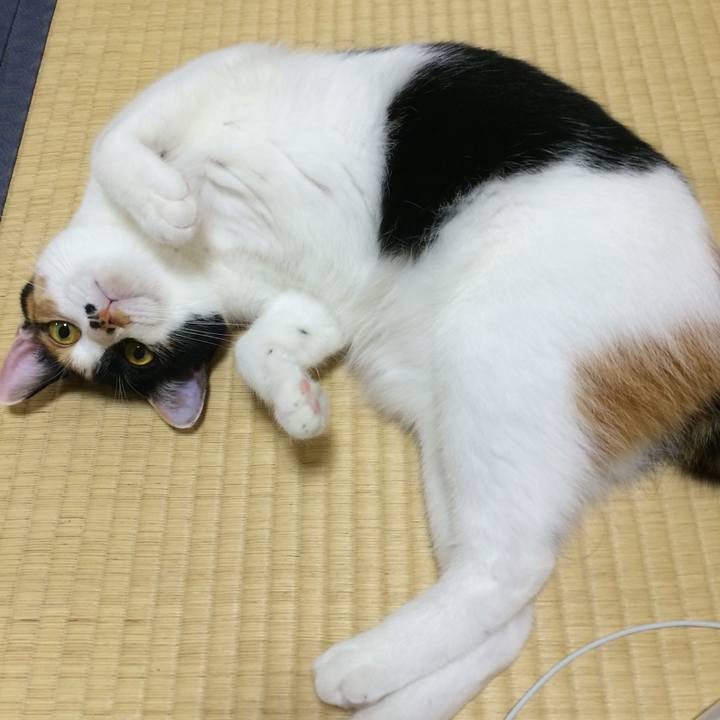 63929e1e 1ca1 4188 b7ee 4fa756574138