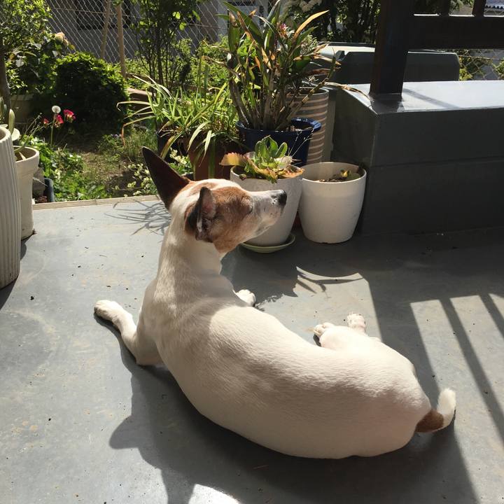 6392a694 6c89 4e05 aced f40cf1385fa8