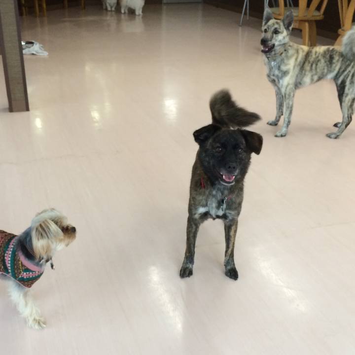 63934235 9fb3 4ec4 85e2 ce009aa4c1f7