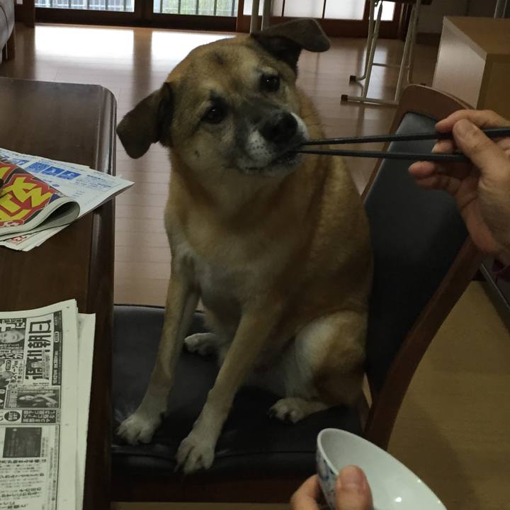 63935158 efe7 4fdf 990e 357e42e0f77b