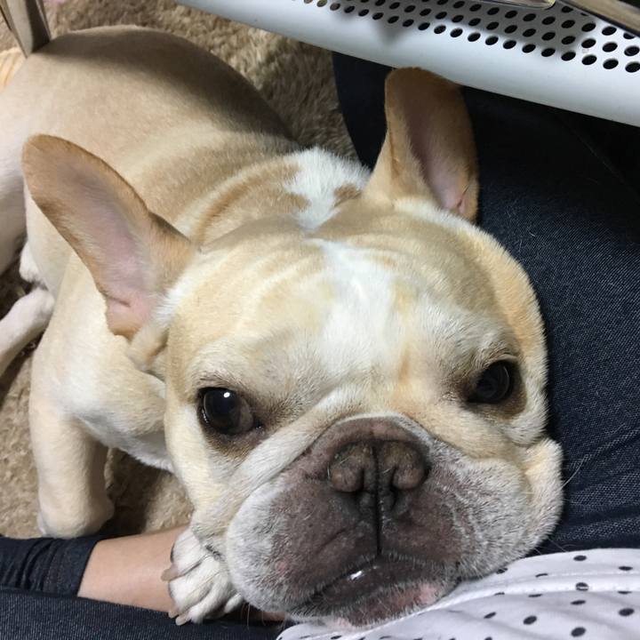 6393edbc 6ee7 485f b1df 04071a56d834