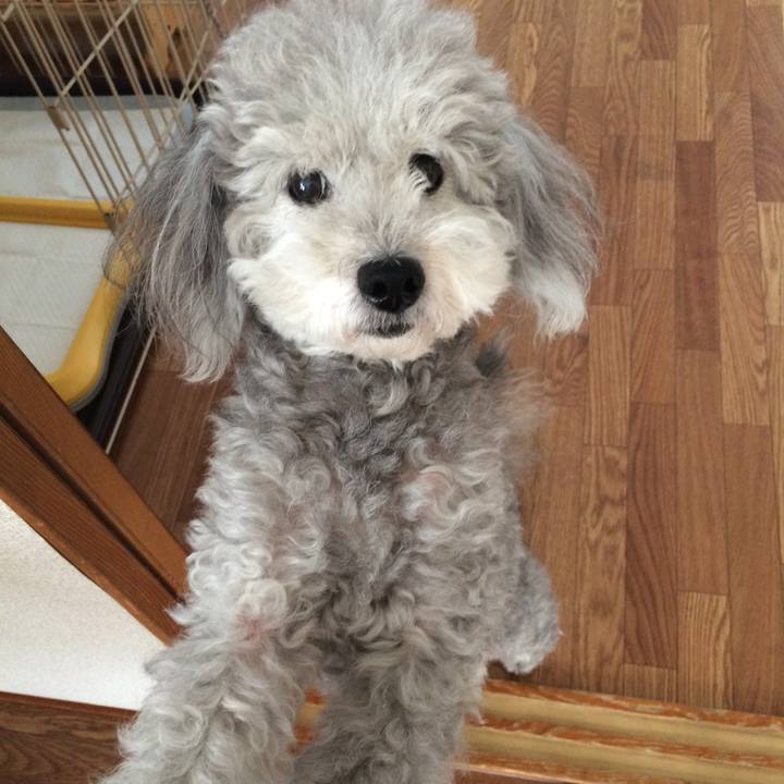 63944ec8 2ec6 4316 8dee 6ed1ca2663fa