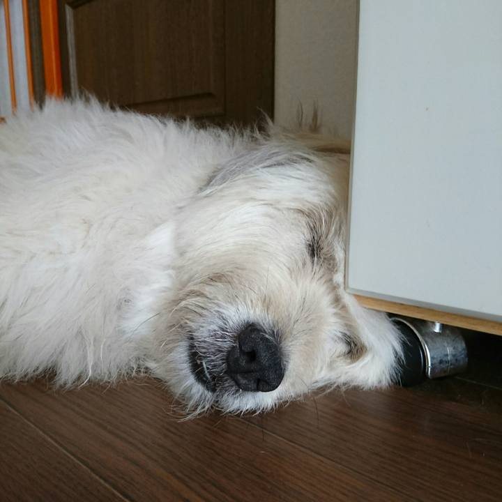 6394a88a 06e4 485d a22e ca9657947526